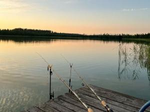 Рыбакам из Таганрога напомнили, какую рыбу нельзя ловить в местных водоемах