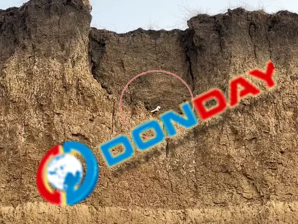 Останки с заброшенного кладбища в Азовском районе попадают в Таганрогский залив