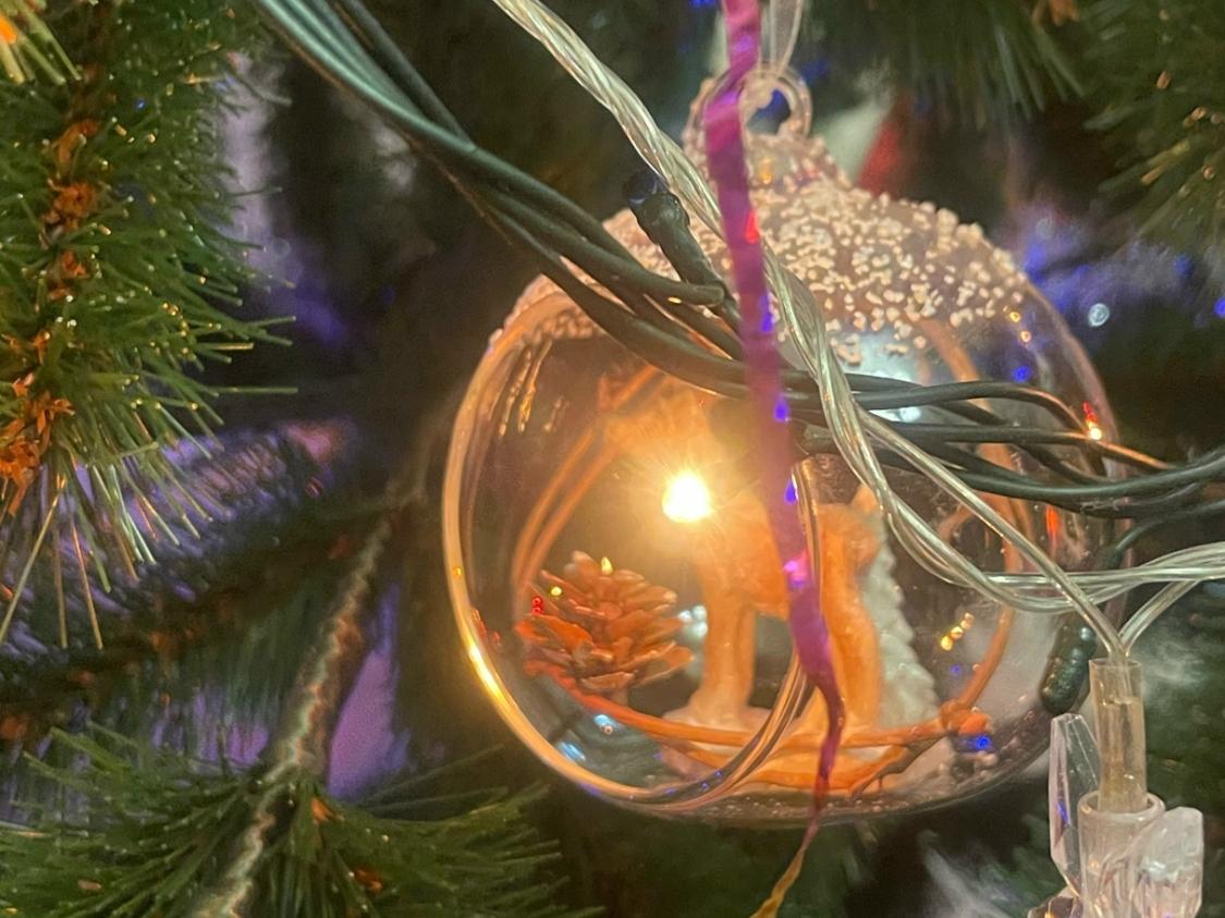 Жителям Таганрога рассказали, как новогодние деревья влияют на здоровье