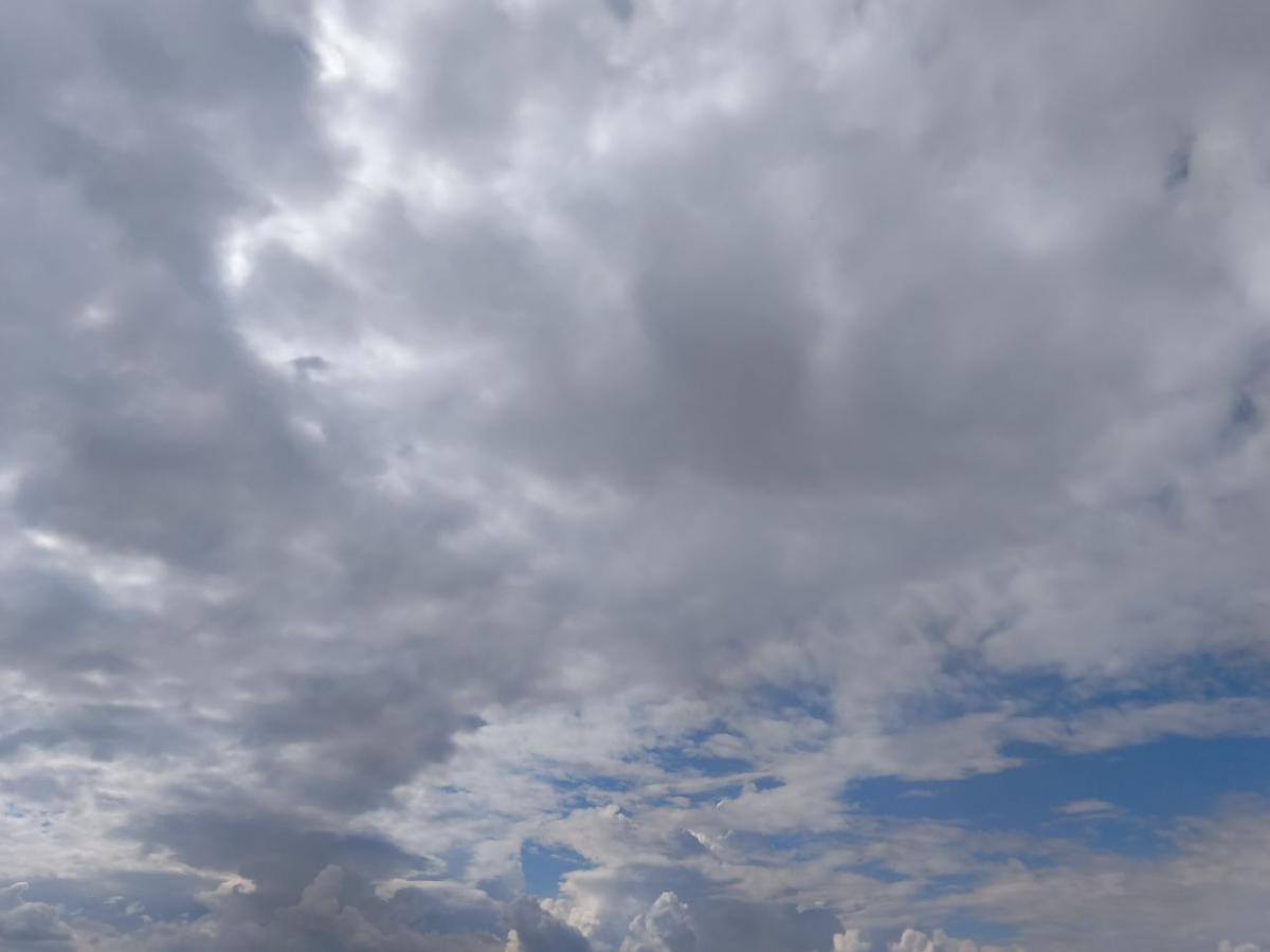 В Таганроге на новой рабочей неделе похолодает до -8 градусов