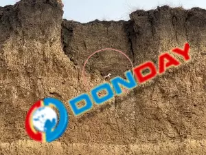 Останки с заброшенного кладбища в Азовском районе попадают в Таганрогский залив