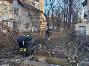 Деревопад накрыл Таганрог из-за сильного ветра
