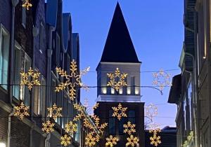 Власти Таганрога отказались от закупки новых новогодних украшений