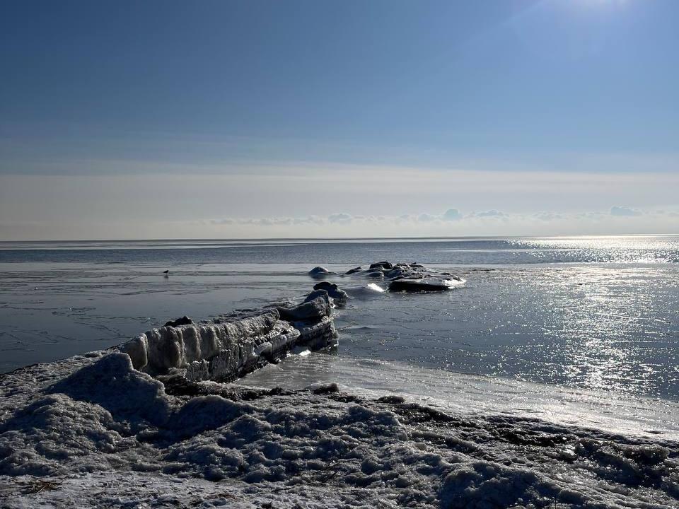 В Азовском море возле Таганрога обнаружили значительное количество микропластика