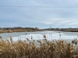 Жителей Таганрога предупредили о морозах в начале первой рабочей недели 2026 года
