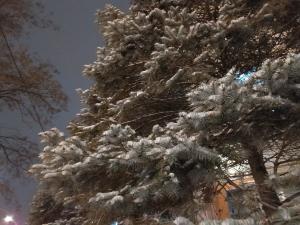 Морозы до -20 градусов ожидаются под Таганрогом