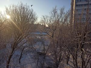 В Таганроге на этой неделе синоптики обещают потепление до +5