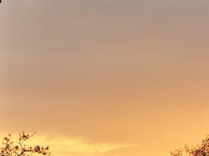 Жители Таганрога сообщают о звуках взрывов вечером 29 марта