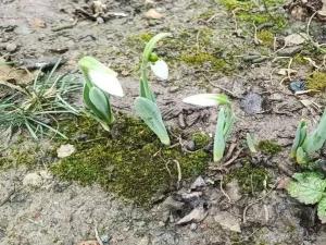 В Таганроге на праздничных выходных потеплеет до +8 градусов