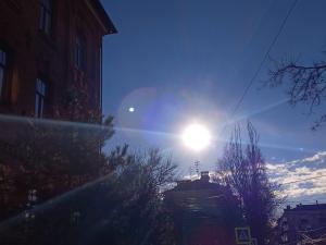 На короткой рабочей неделе марта в Таганроге будет солнечно и без осадков