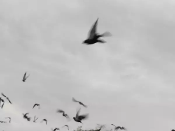 Жителей Таганрога ждет ухудшение погоды в ближайшую неделю