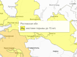 В Таганроге введен желтый уровень погодной опасности из-за ветра