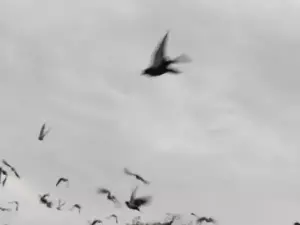 Жителей Таганрога ждет ухудшение погоды в ближайшую неделю