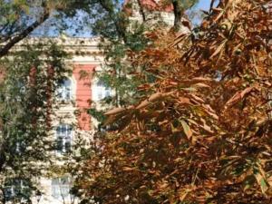 В первые выходные апреля в Таганроге будет дождливо