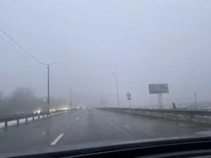 Водителей Ростовской области предупредили о плотном тумане на дорогах