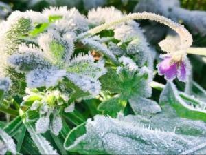 Штормовое предупреждение из-за непогоды вновь продлили в Таганроге