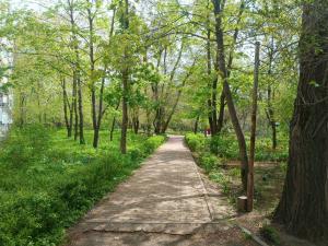 В Таганроге в последние выходные апреля потеплеет до +16 градусов