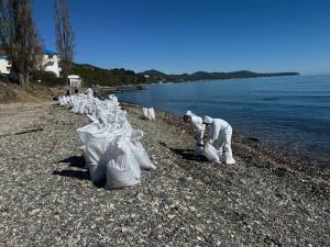 Эксперт предупредила о рисках для экологии Азовского моря после ЧП в Туапсе