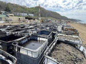 Разлив мазута в Туапсе может затронуть акваторию Азовского моря