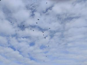 В Таганроге отбивают воздушную атаку утром 20 апреля