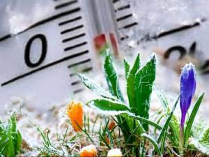 Заморозки до -3 градусов накроют Неклиновский район перед выходными