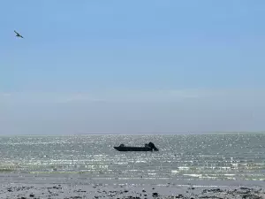 В Азовском море стали чаще находит большое количество мусора и обломков БПЛА