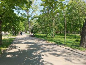 Жара до +27 градусов ожидается в Таганроге на выходных