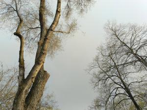 В Таганроге объявили штормовое предупреждение из-за дождя с градом